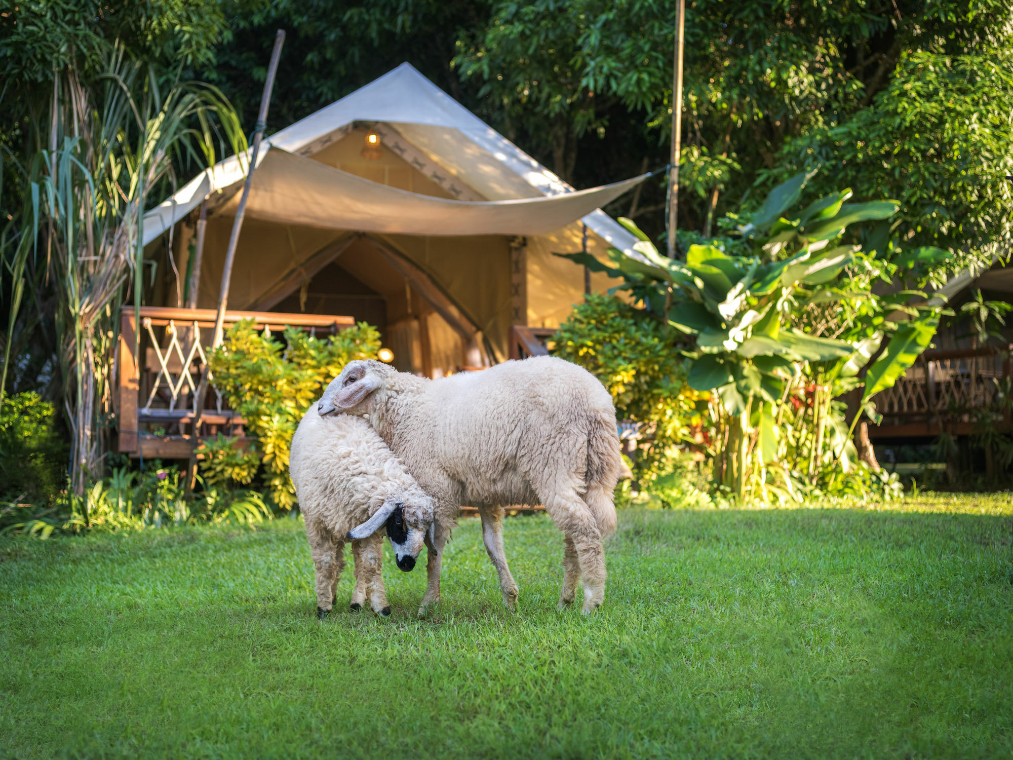 Hintok River Camp Ban Huai Maenam Noi Exterior foto